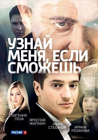 Узнай меня, если сможешь poster