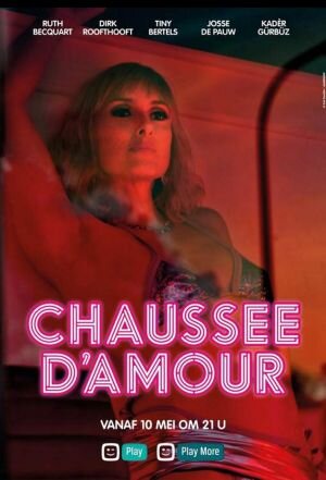 Chaussée d'Amour poster