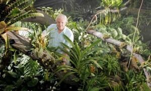 Kingdom of Plants S1 E01 – Life in the Wet Zone