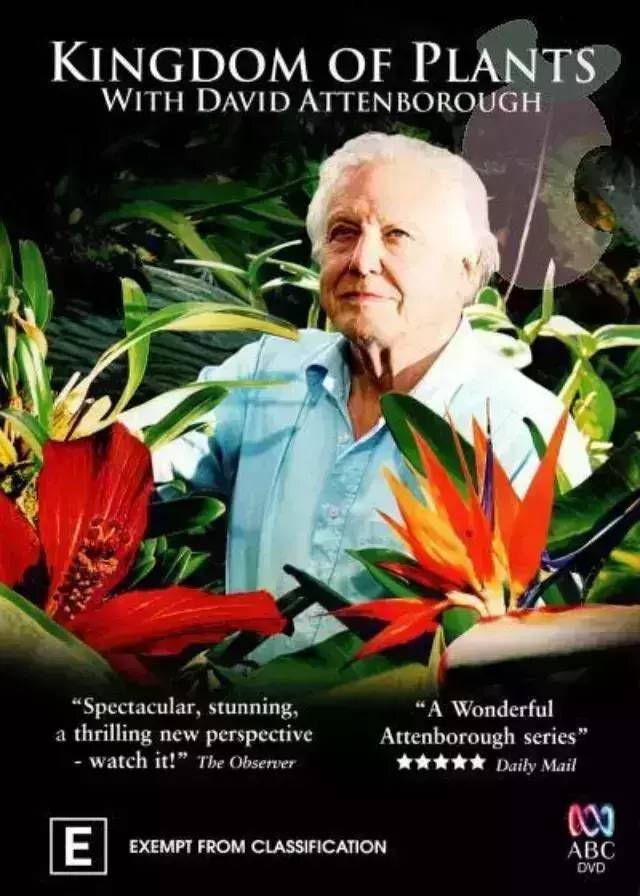 Kingdom of Plants poster
