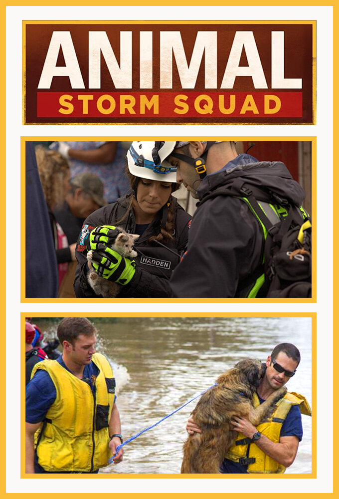 Animal Storm Squad poster