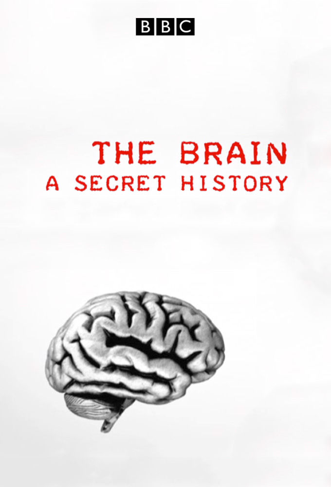 Мозг тайны сознания. Brain. Вирусы мозга Докинз.