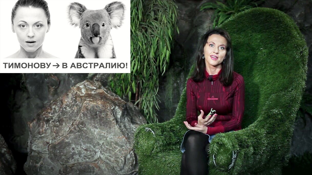 Всё как у зверей S8 Special – Все на краудфандинг нового сезона "Всё как у зверей" (в Австралии)!