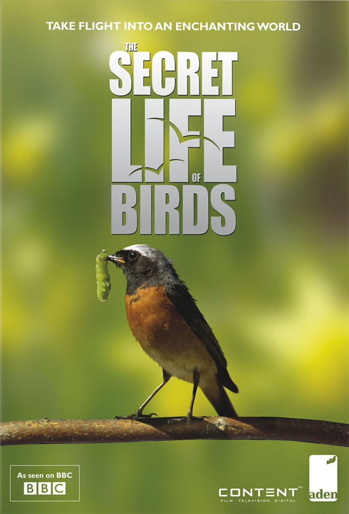 Iolo's Secret Life of Birds poster