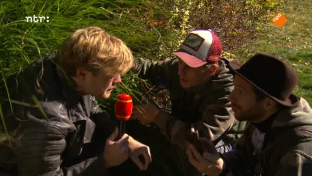 Aflevering 13