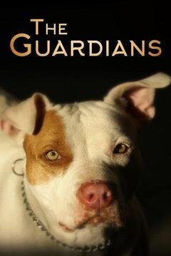 The Guardians poster