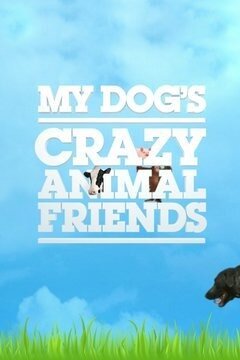 My Dog's Crazy Animal Friends poster
