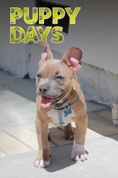 Puppy Days poster
