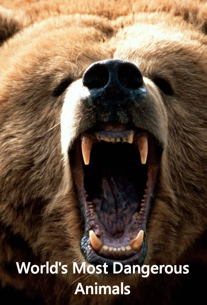 World's Most Dangerous Animals – official series poster, 5