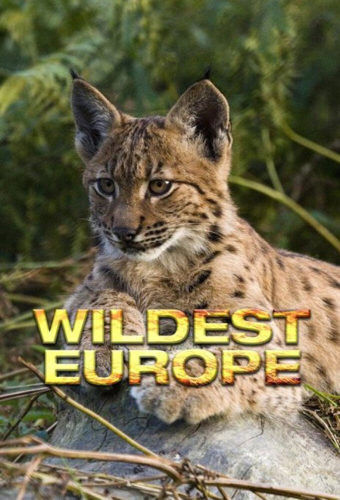 Wildest Europe poster