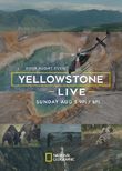 Yellowstone Live