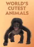 World's Cutest Animals
