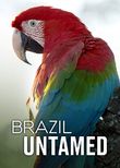 Brazil Untamed