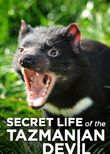 Secret Life of the Tasmanian Devil