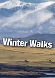 Winter Walks