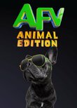 America's Funniest Videos: Animal Edition