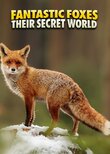 Fantastic Foxes: Their Secret World
