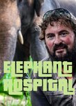 Elephant Hospital