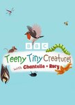 Teeny Tiny Creatures