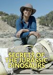 Secrets of the Jurassic Dinosaurs