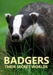 Badgers: Their Secret World