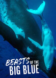 Beasts of the Big Blue