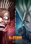 Dr. Stone