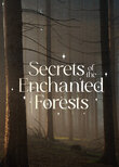 Secrets of the Enchanted Forests