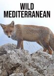 Wild Mediterranean