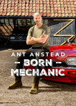 Ant Anstead: Born Mechanic