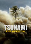 Tsunami: Race Against Time