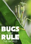 Bugs that Rule the World