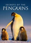 Secrets of the Penguins