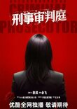 Criminal Prosecutor
