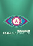 Promi Big Brother – Die Late Night Show