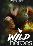 Wild Heroes