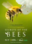 Secrets of the Bees