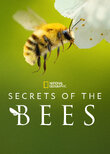 Secrets of the Bees