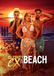 Celebrity Ex on the Beach