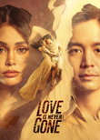 Love is Never Gone