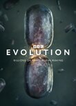 Evolution