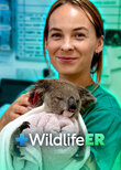 Wildlife ER